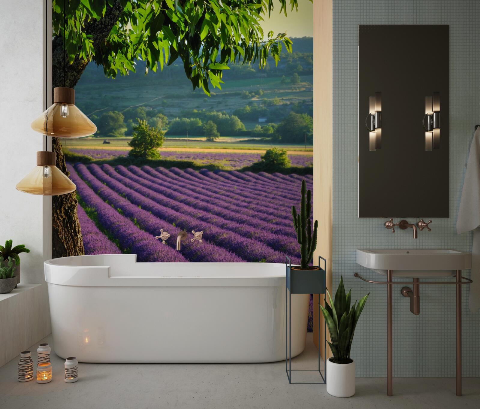 Fotobehang een veld geparfumeerd met lavendel