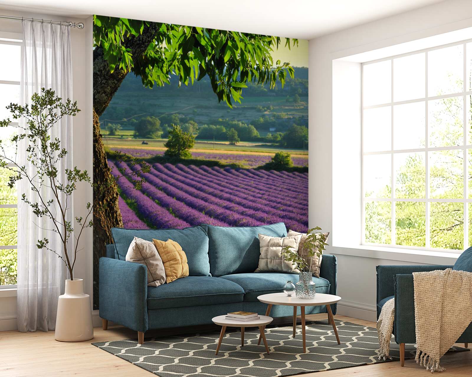 Fotobehang een veld geparfumeerd met lavendel