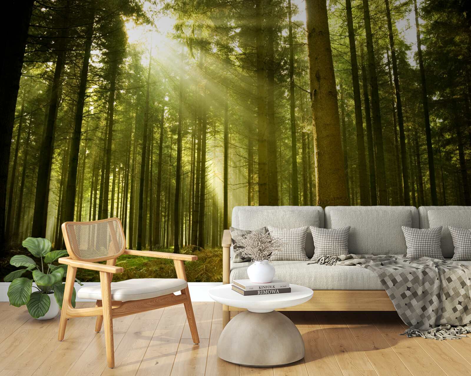 Fotobehang de zonnestralen verlichten het bos