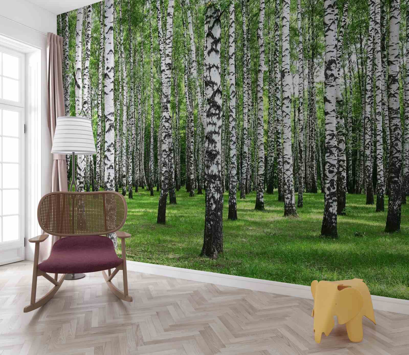 Fotobehang uitgestrekt berkenbos