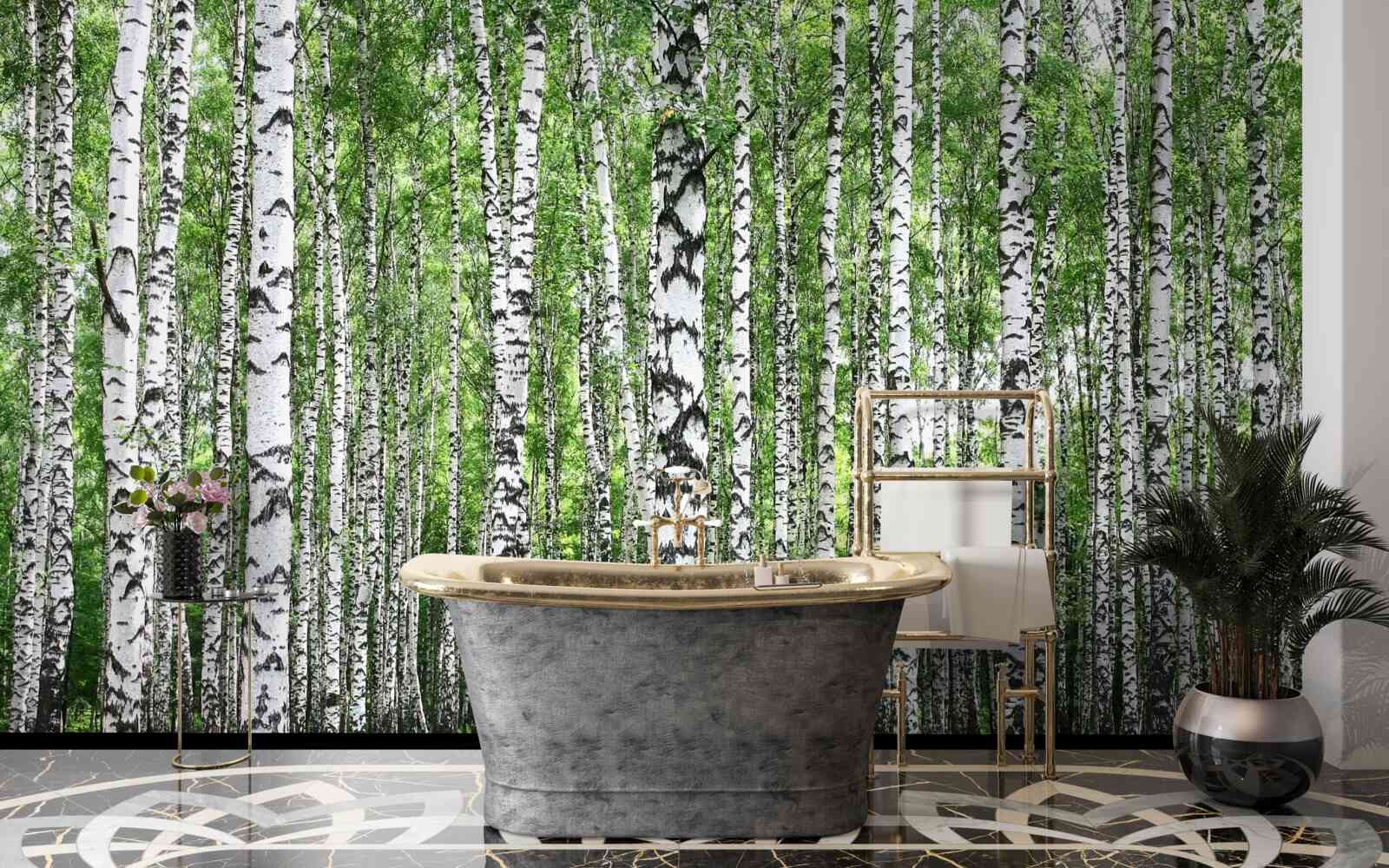 Fotobehang uitgestrekt berkenbos