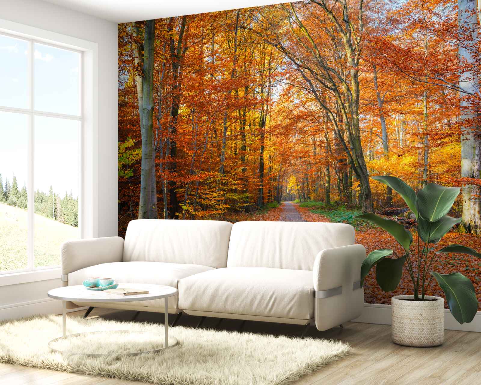 Fotobehang bomen met vallende bladeren in de herfst