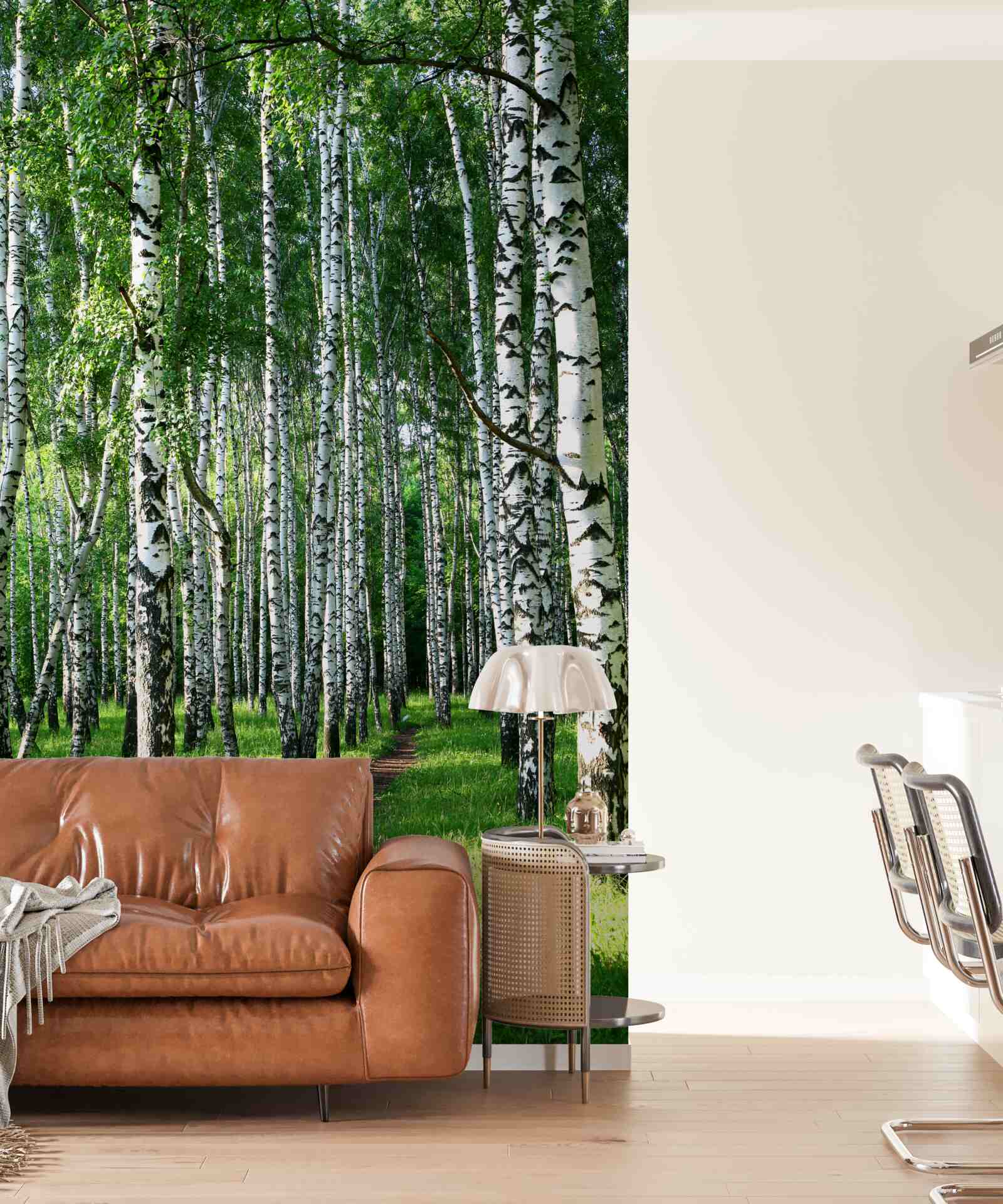 Fotobehang pad door berkenbos