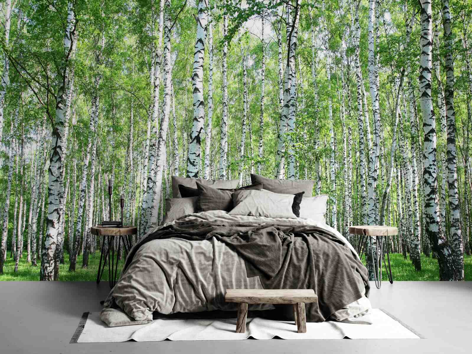 Fotobehang sierlijk, naar de hemel berken