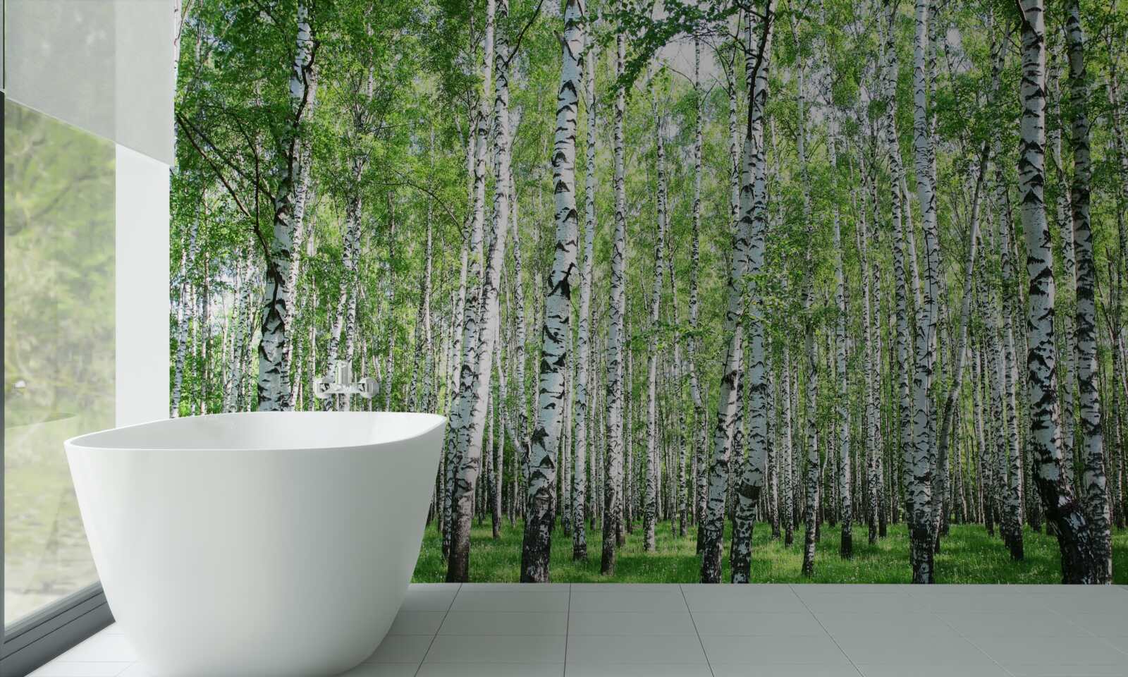 Fotobehang sierlijk, naar de hemel berken