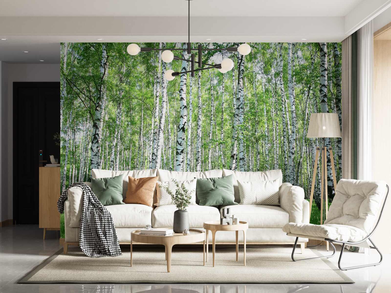 Fotobehang sierlijk, naar de hemel berken