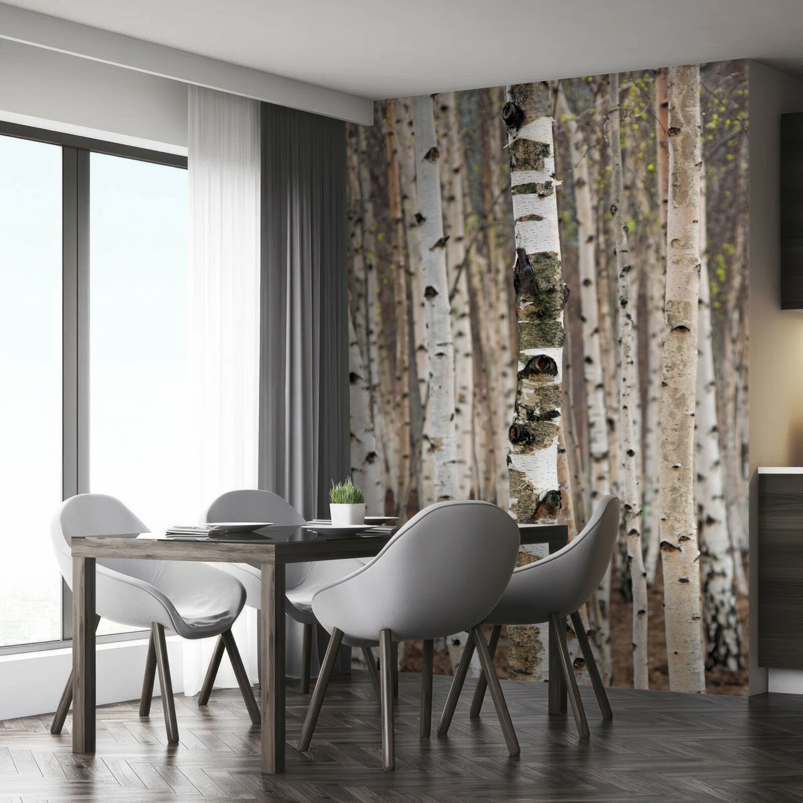 Fotobehang berken in het bos