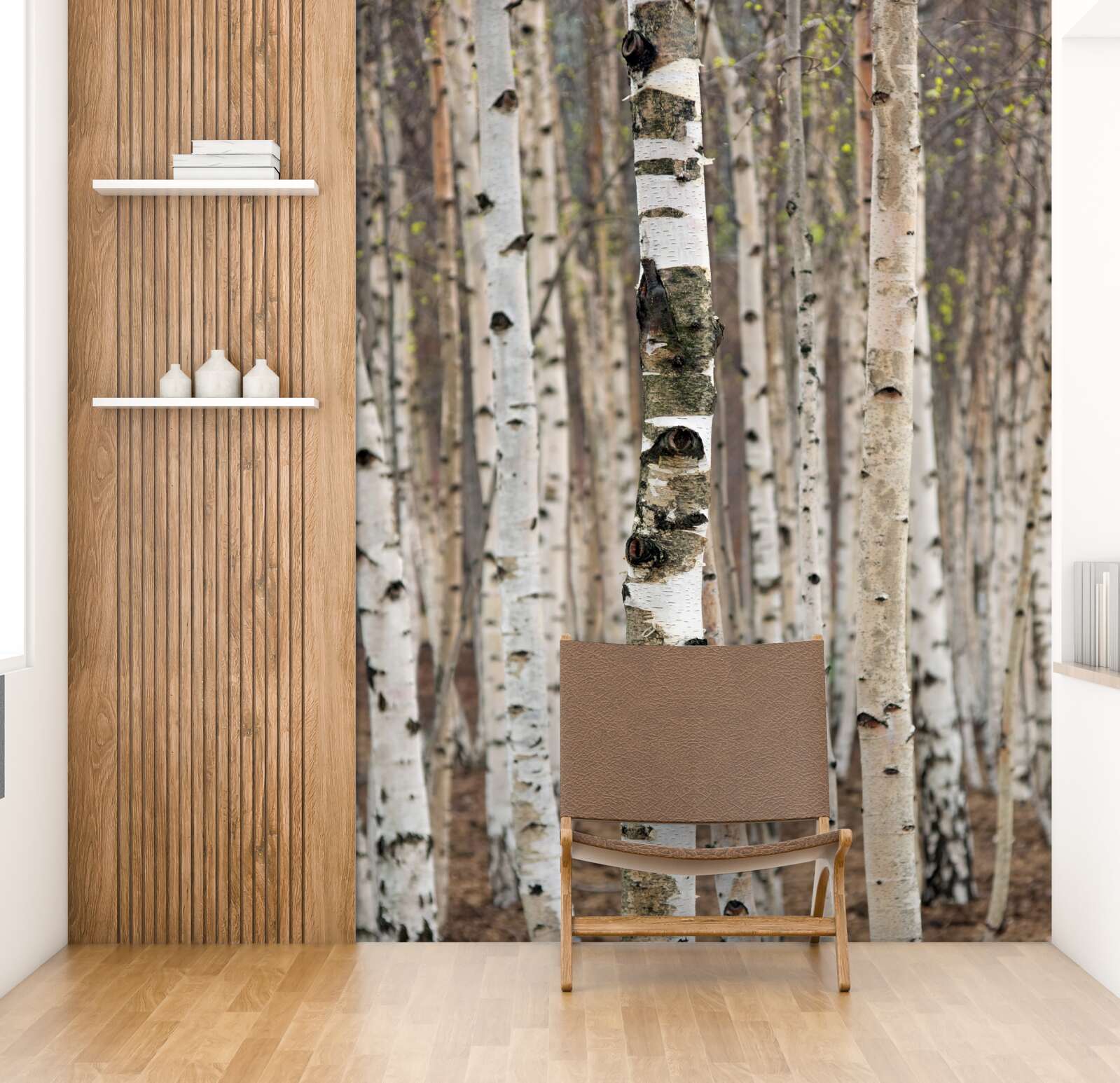 Fotobehang berken in het bos