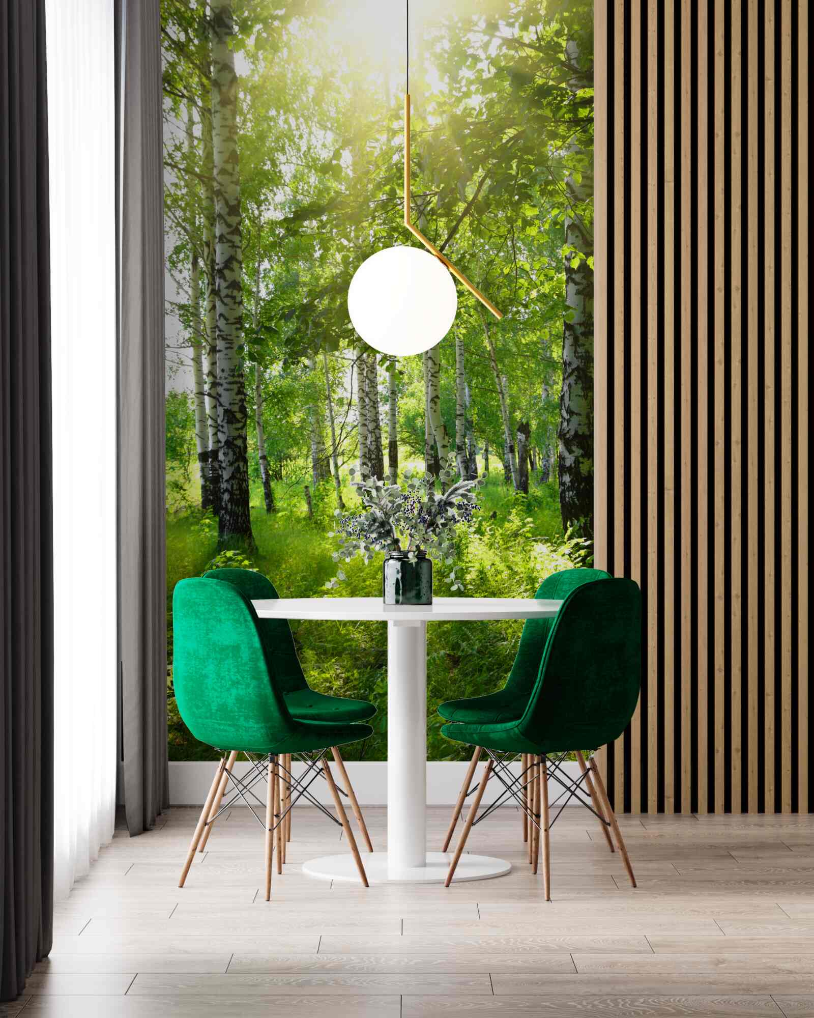 Fotobehang zonneschijn in een berkenbos