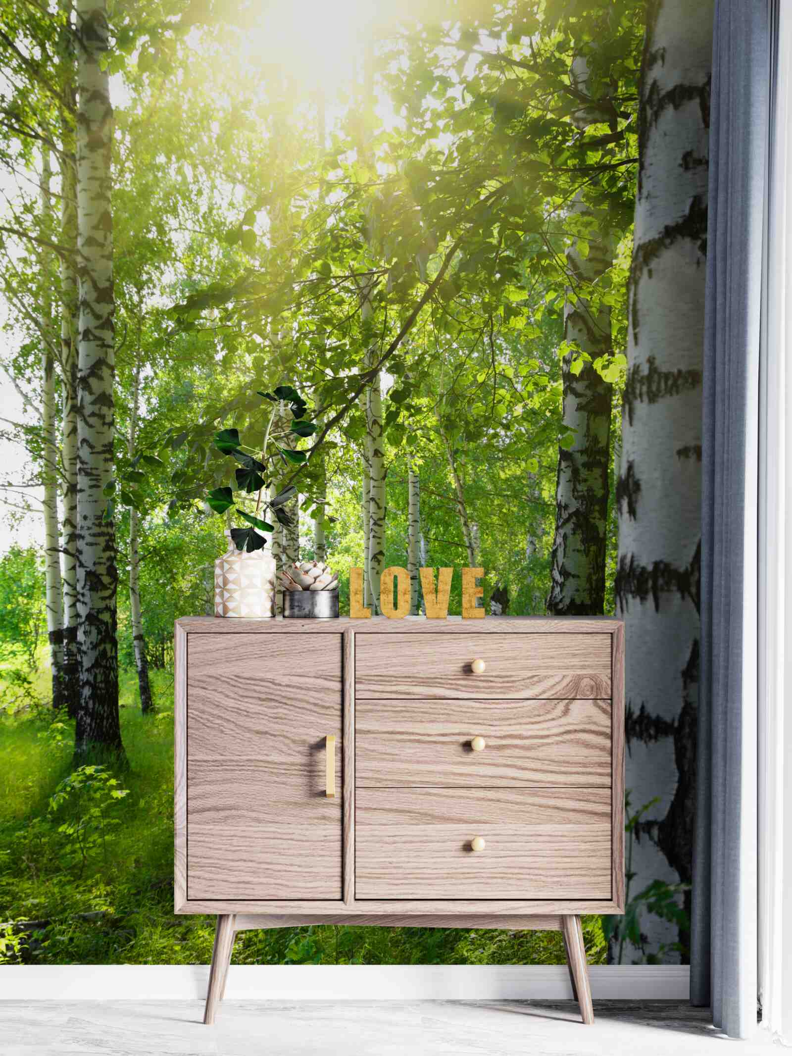 Fotobehang zonneschijn in een berkenbos