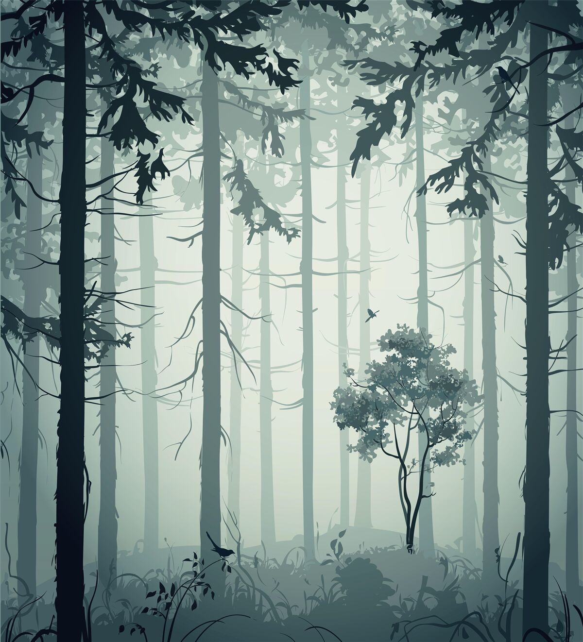 Fotobehang bos gehuld in een mysterieuze mist