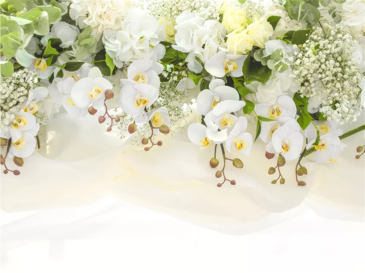 Fotobehang witte orchideeën bengelen