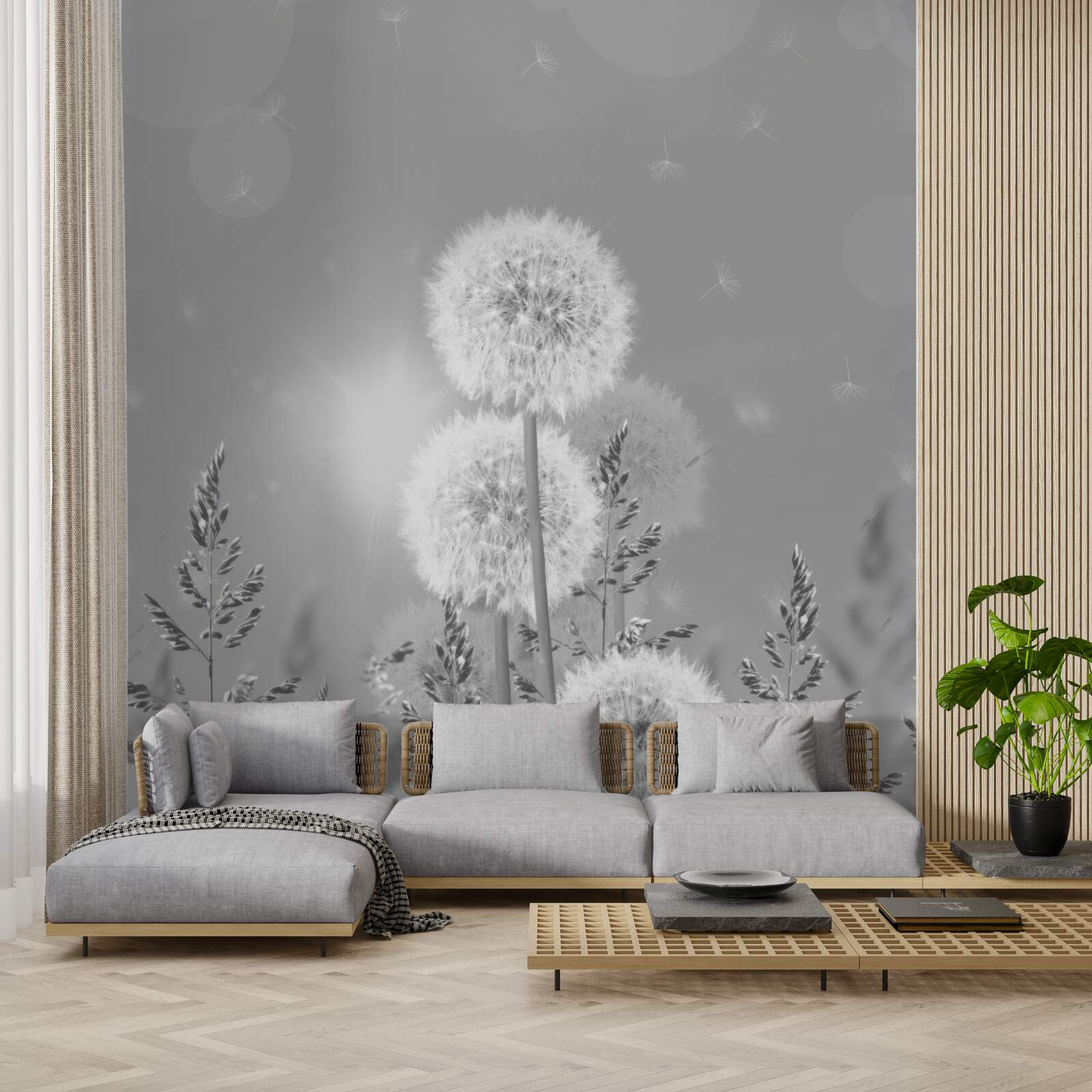 Fotobehang paardenbloemen in zwart-wit tinten