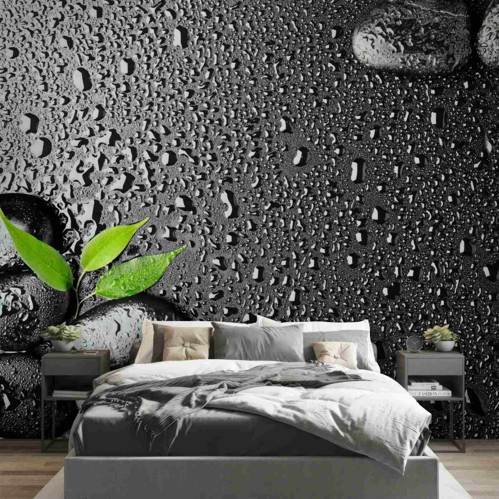 Fotobehang groene bladeren en zwarte stenen