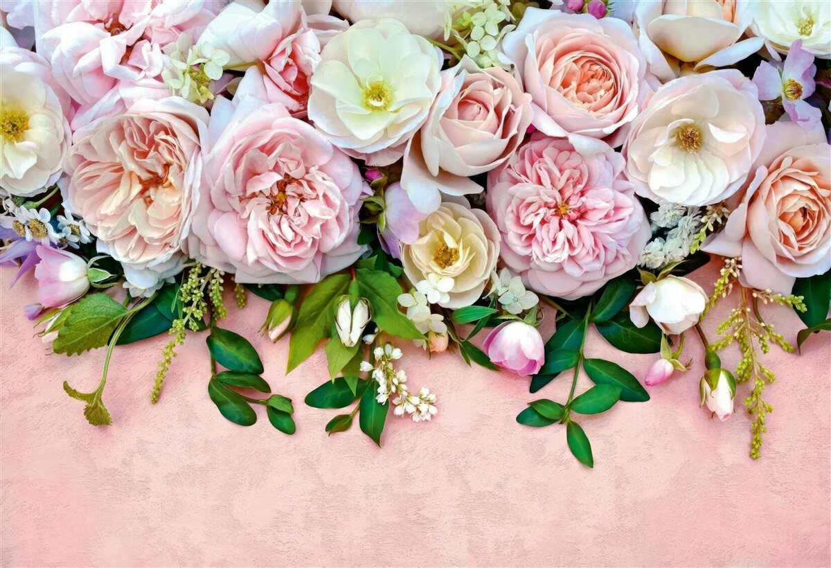 Fotobehang lichte en delicate rozen