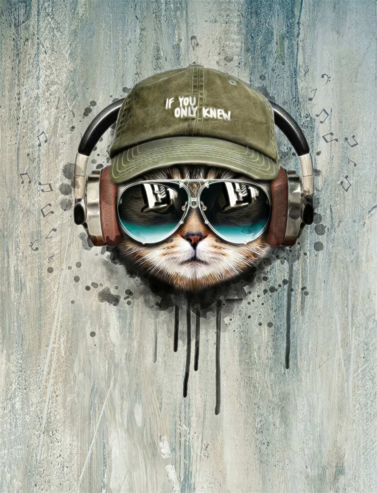 Fotobehang modieuze kat