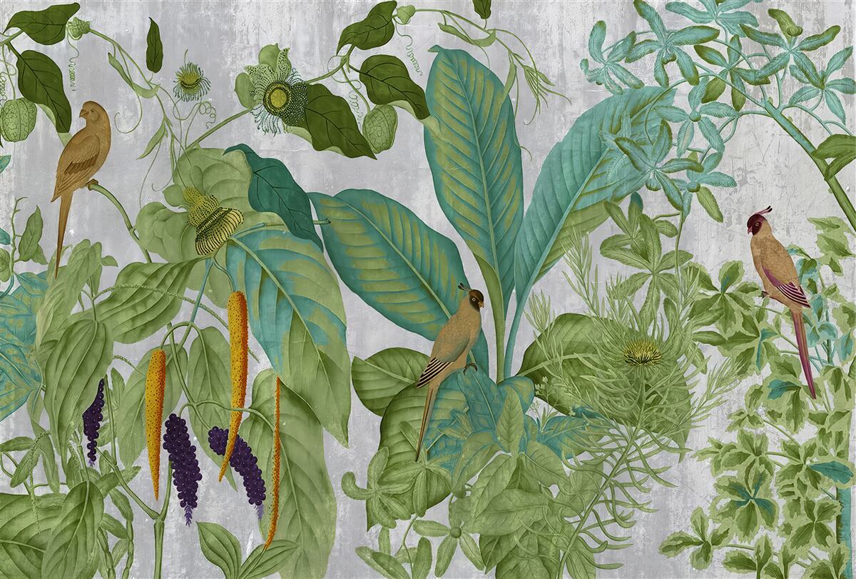 Fotobehang tussen de groene bladeren zitten papegaaien