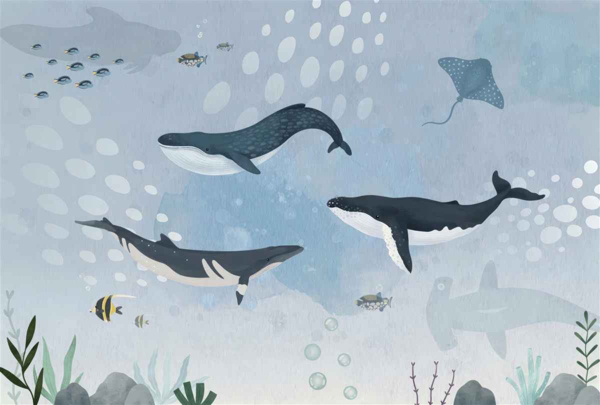 Fotobehang het onderwater koninkrijk van walvissen
