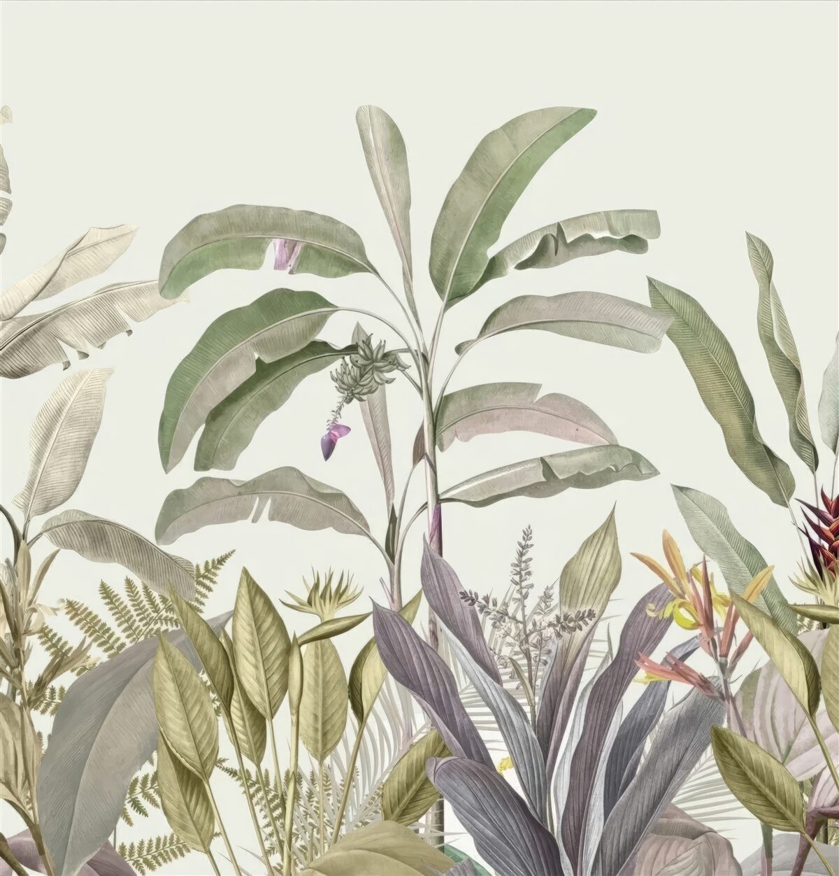 Fotobehang schaars gevormde planten en bladeren