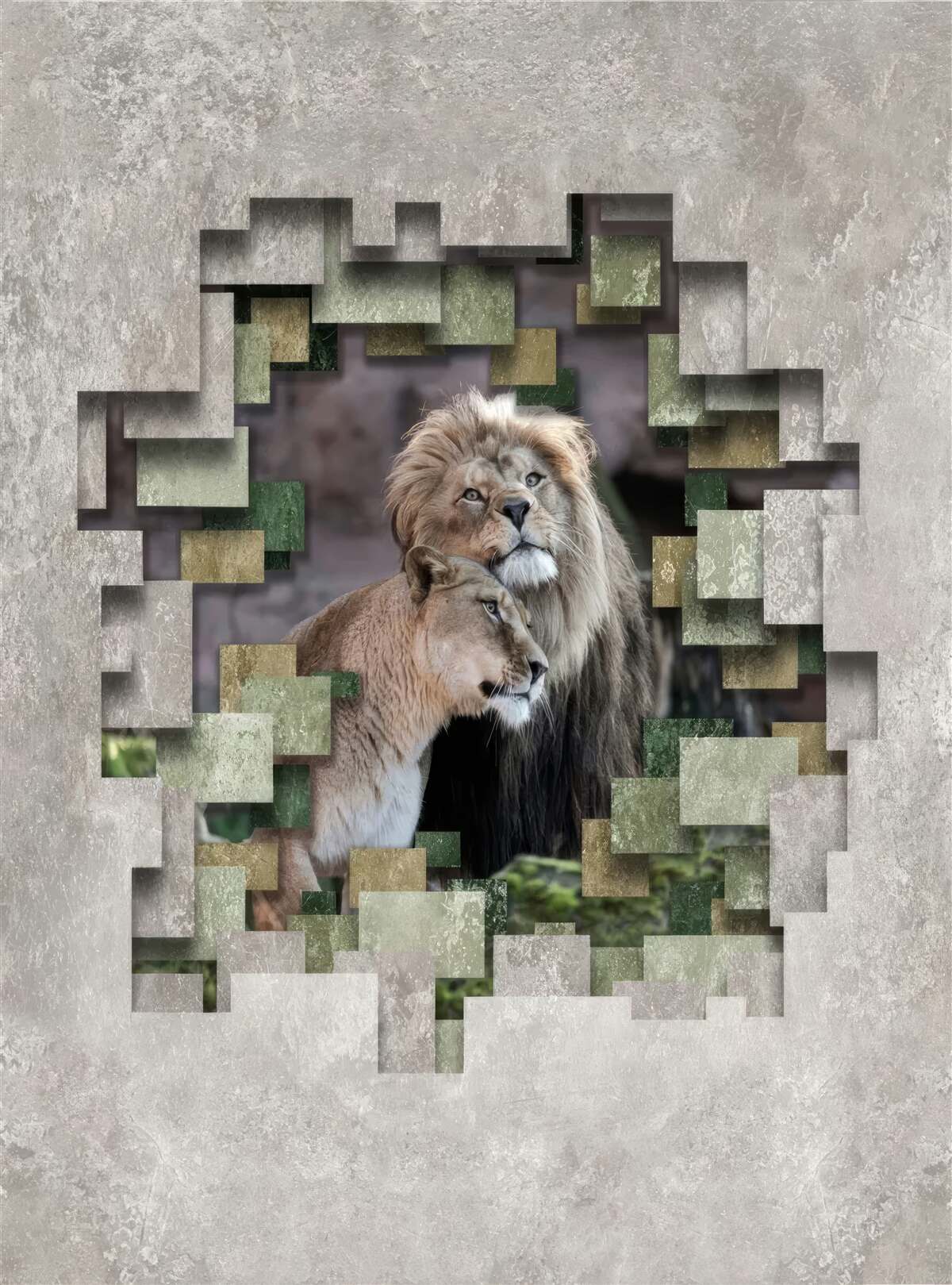 Fotobehang leeuw en leeuwin verenigd