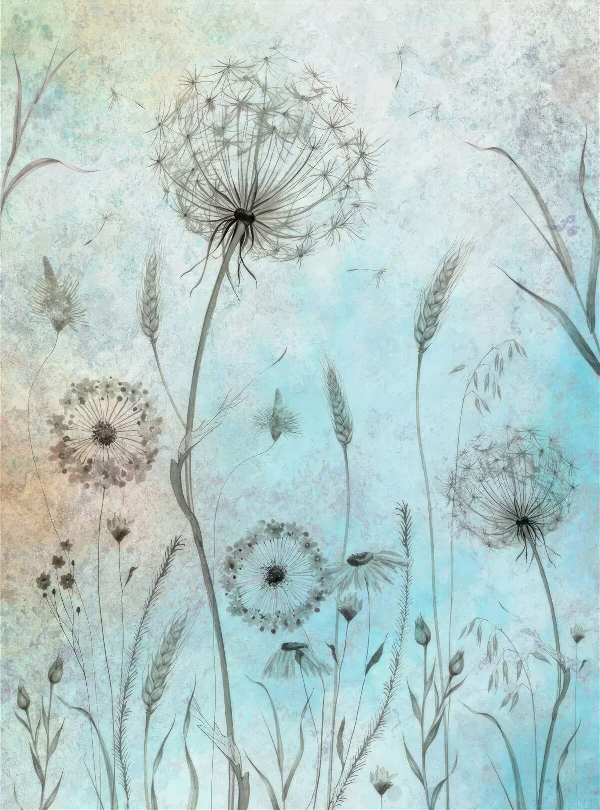 Fotobehang tarwe en paardenbloem