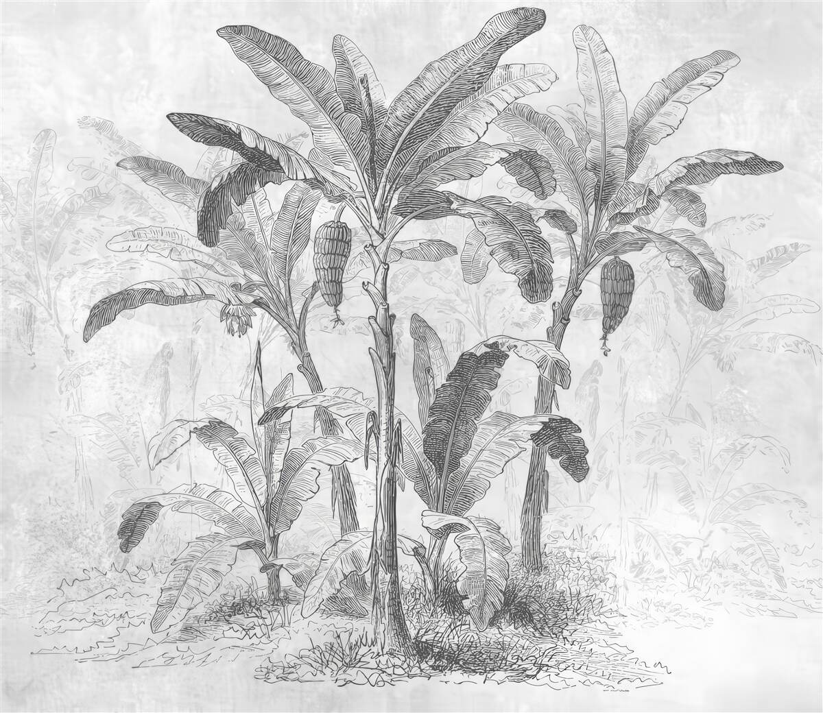 Fotobehang de getoonde palmen