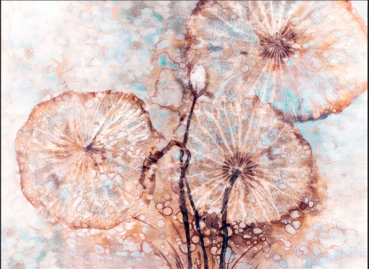 Fotobehang plant op een ongebruikelijke manier gepresenteerd