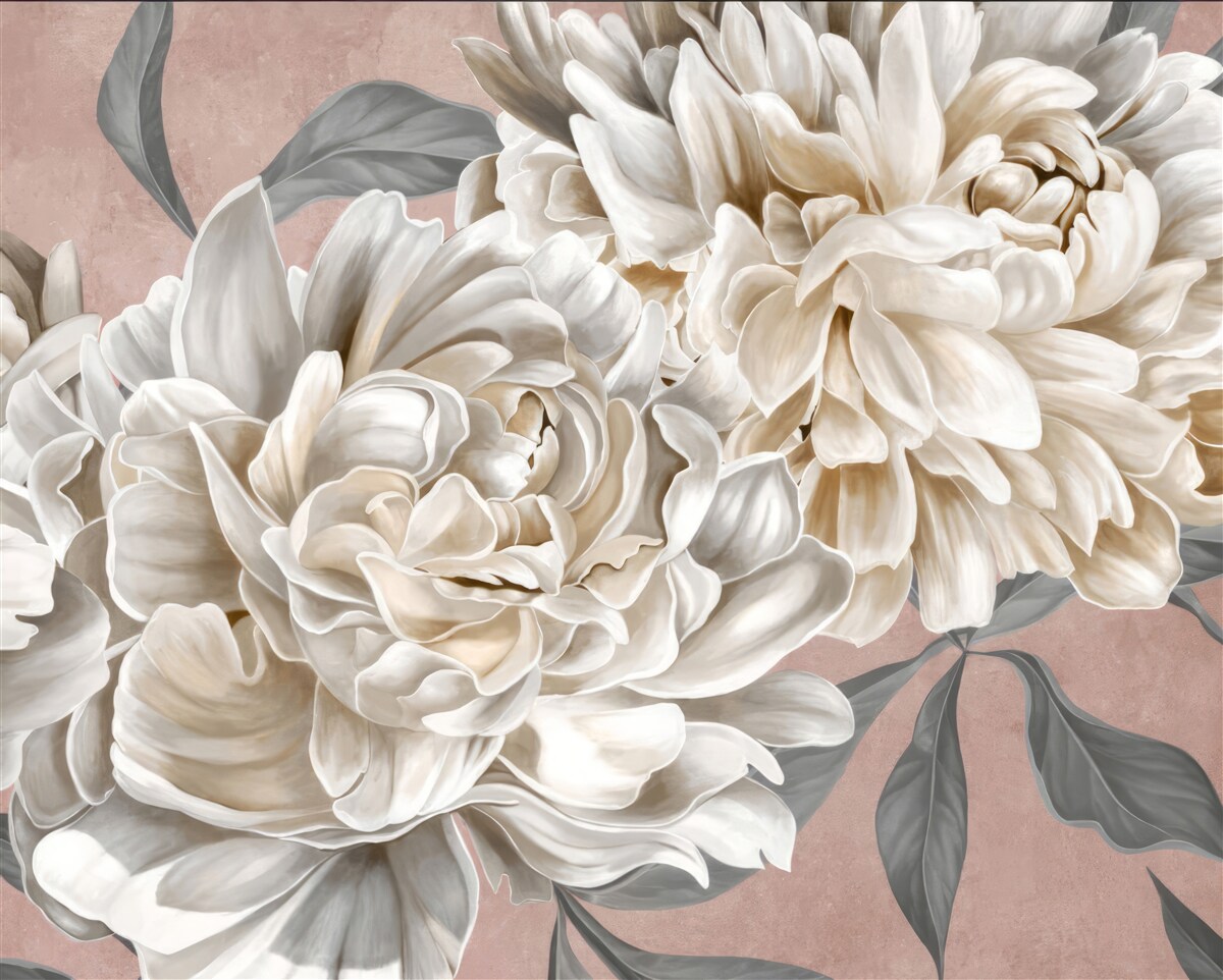 Fotobehang grote sneeuwwitte pioenrozen