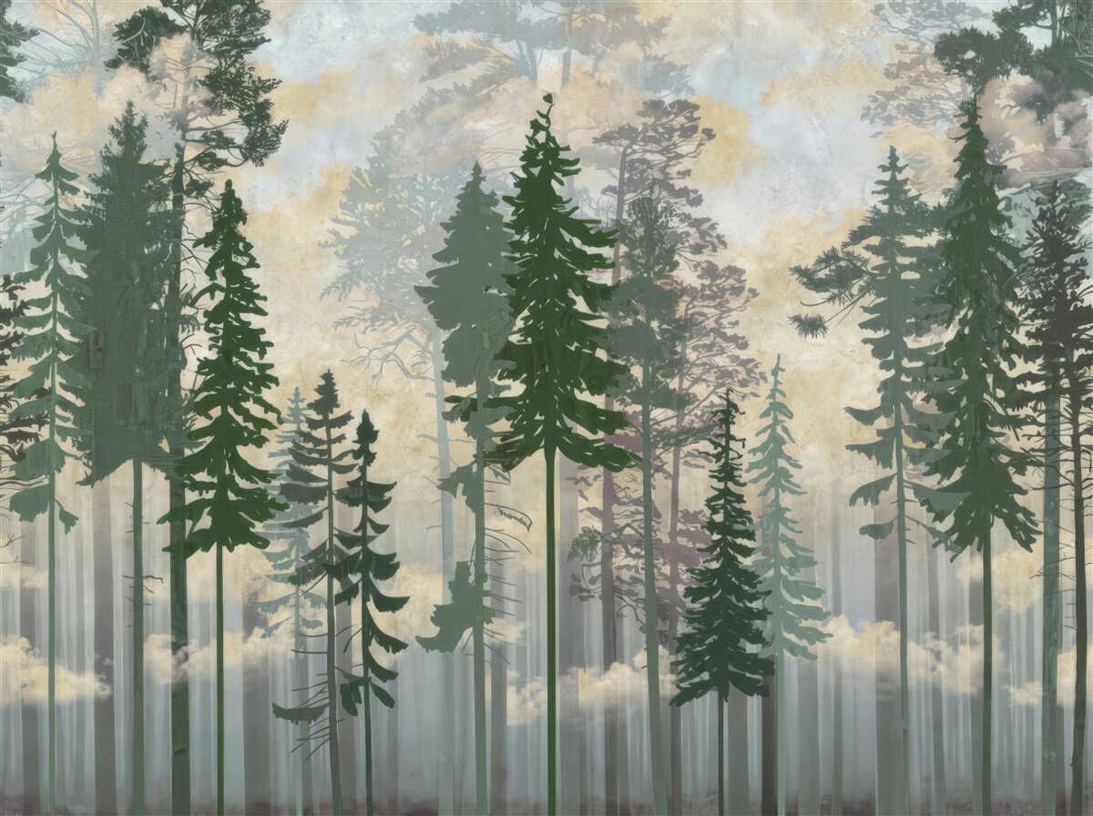 Fotobehang mistig bos gehuld in bomen