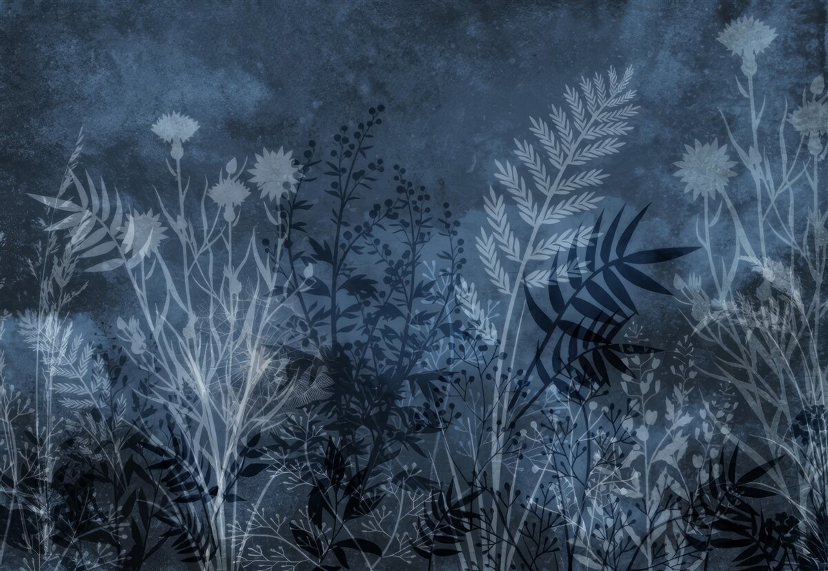 Fotobehang de nachtmaan verlicht de weide en de planten