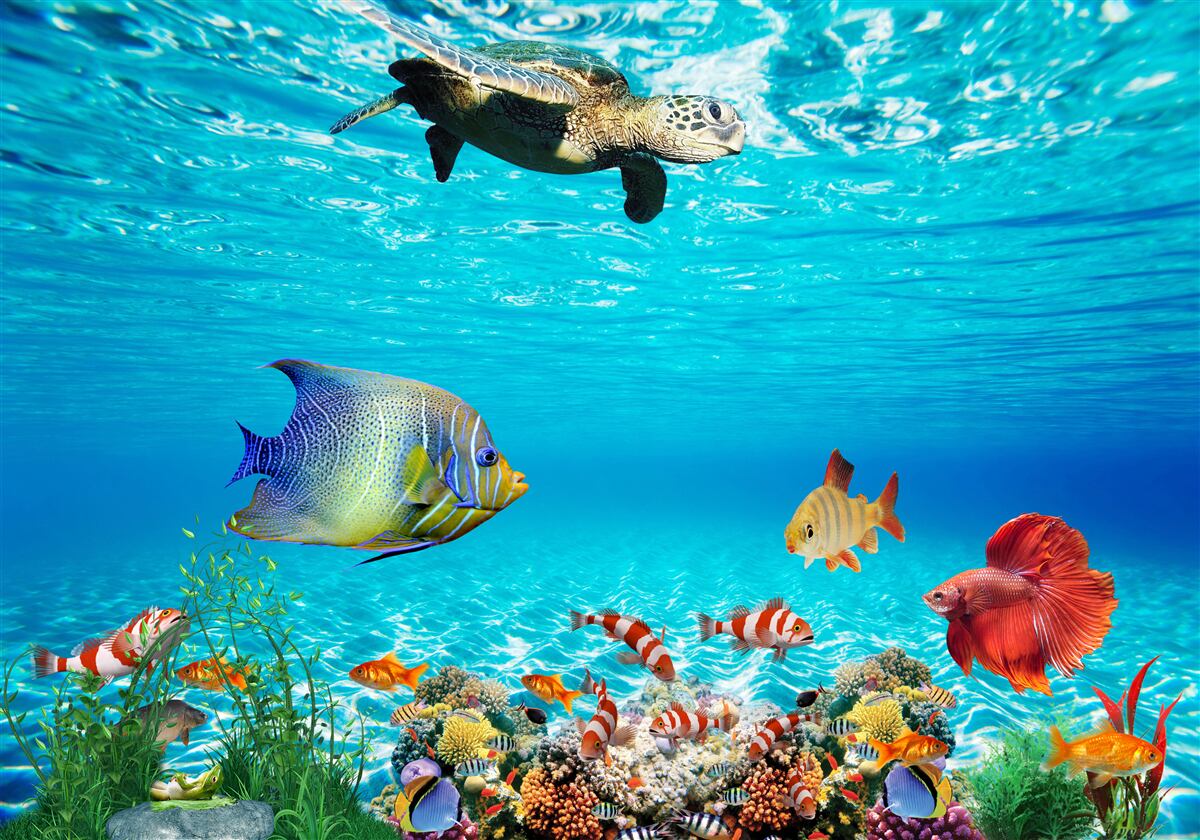 Fotobehang zeebewoners van de diepe oceaan