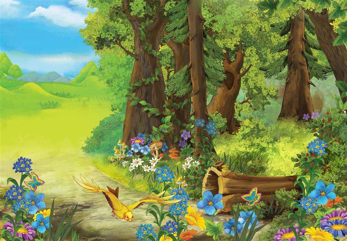 Fotobehang magisch groen zomerbos