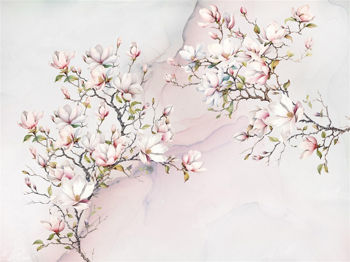 Fotobehang De takken van de witte en roze magnolia zijn sierlijk en mooi