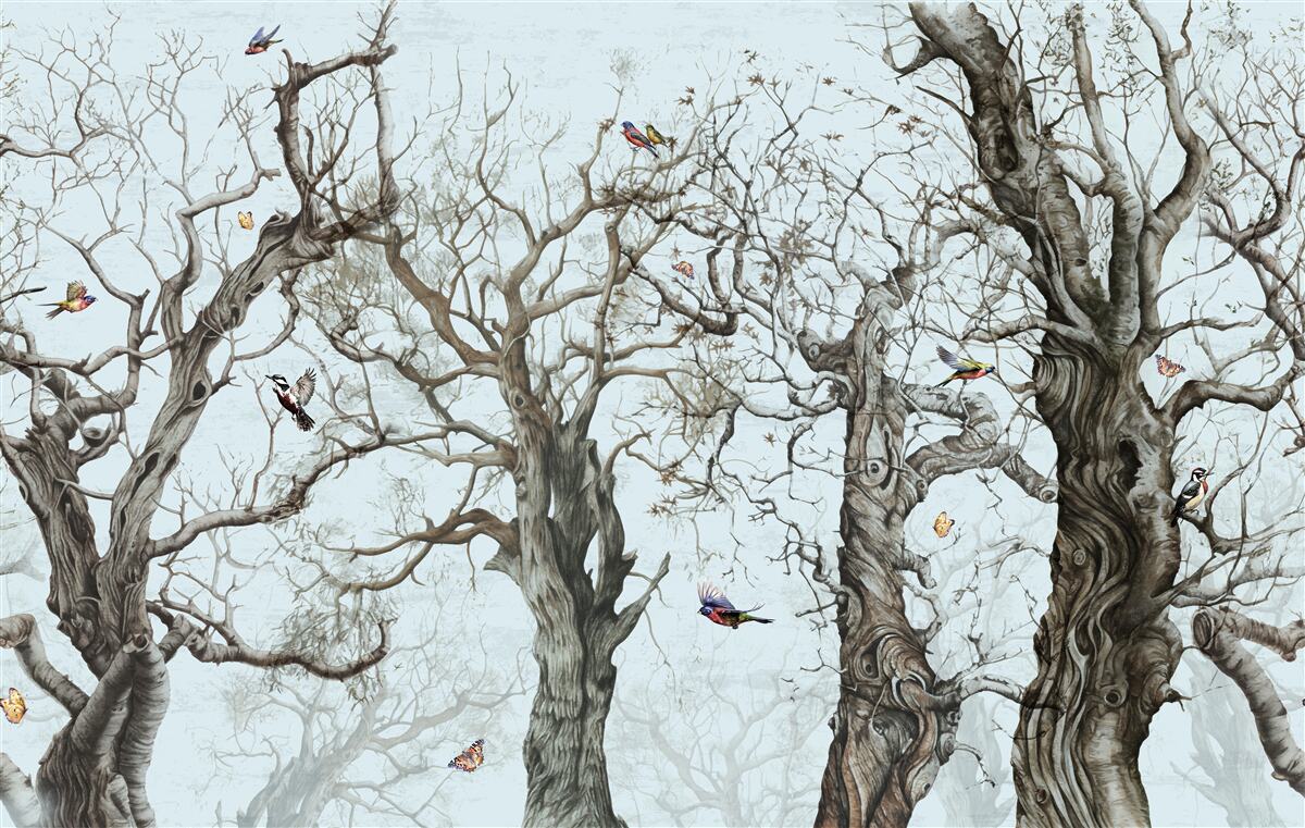 Fotobehang bomen in de herfst die hun bladeren hebben laten vallen