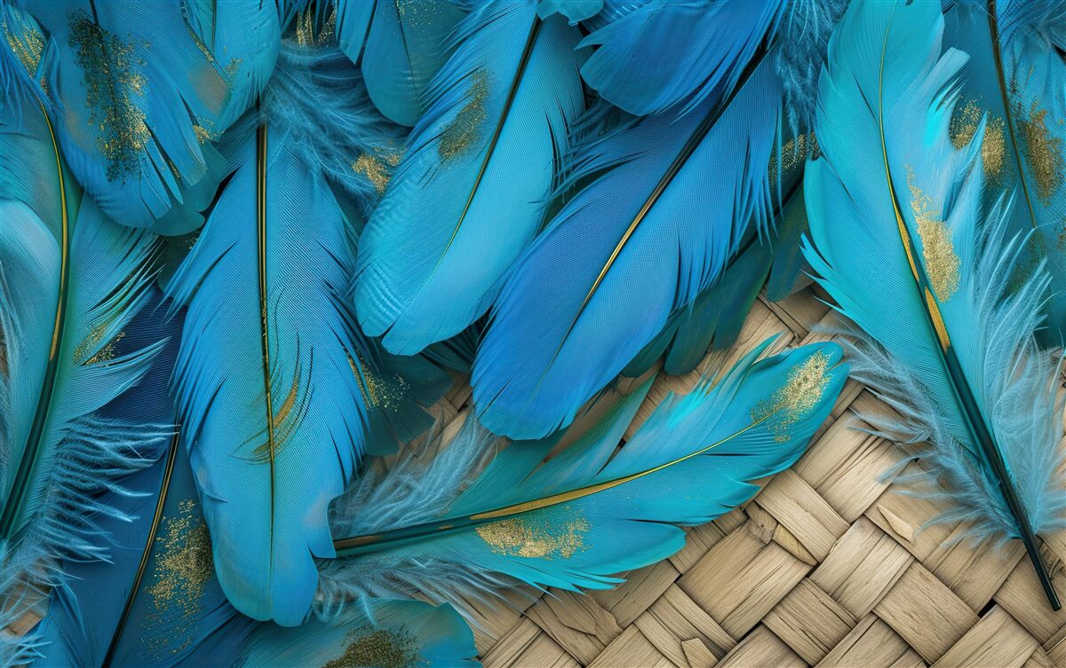 Fotobehang mooie pluizige veren met een rijke blauwe kleur