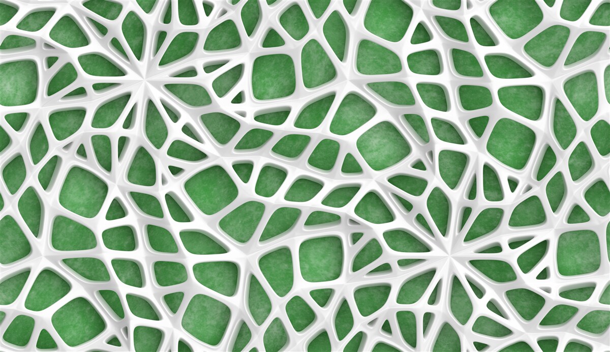 Fotobehang op een groene achtergrond staat een groot wit spinnenweb