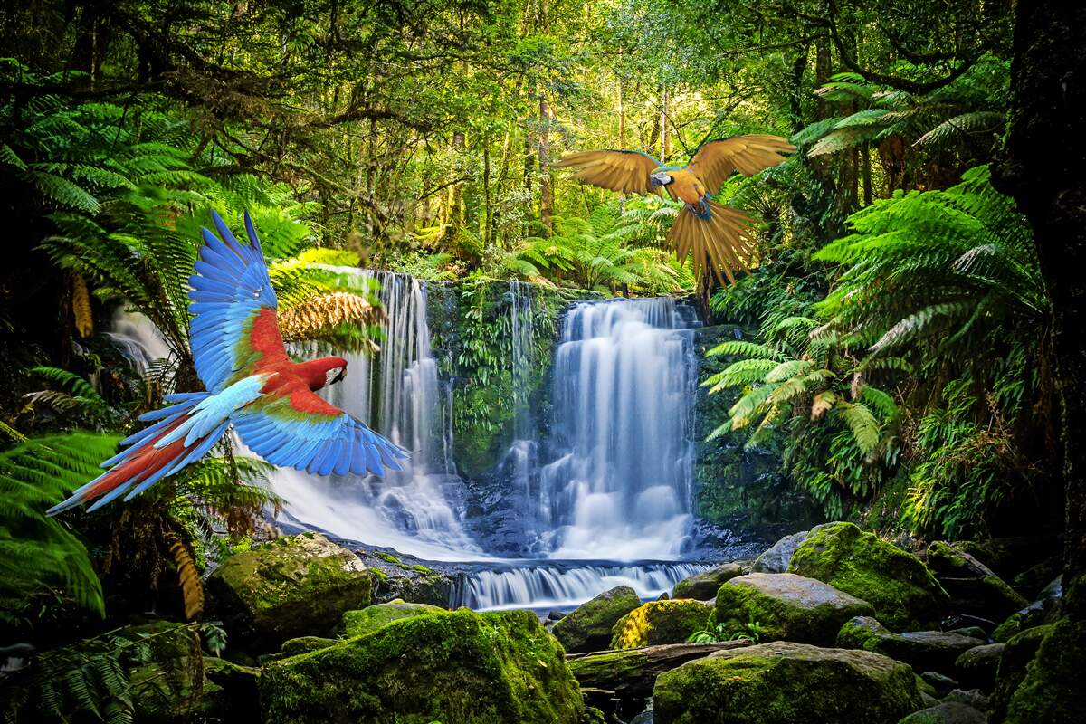 Fotobehang een verborgen waterval in het bos