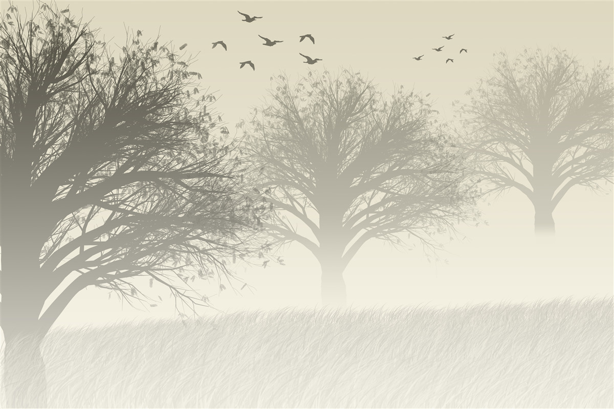 Fotobehang vogels vliegen weg voor de winter