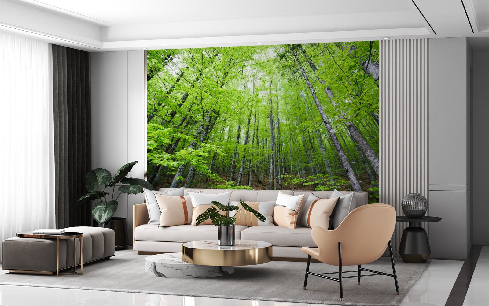 Fotobehang de groene kronen van de bomen in het bos schijnen helder