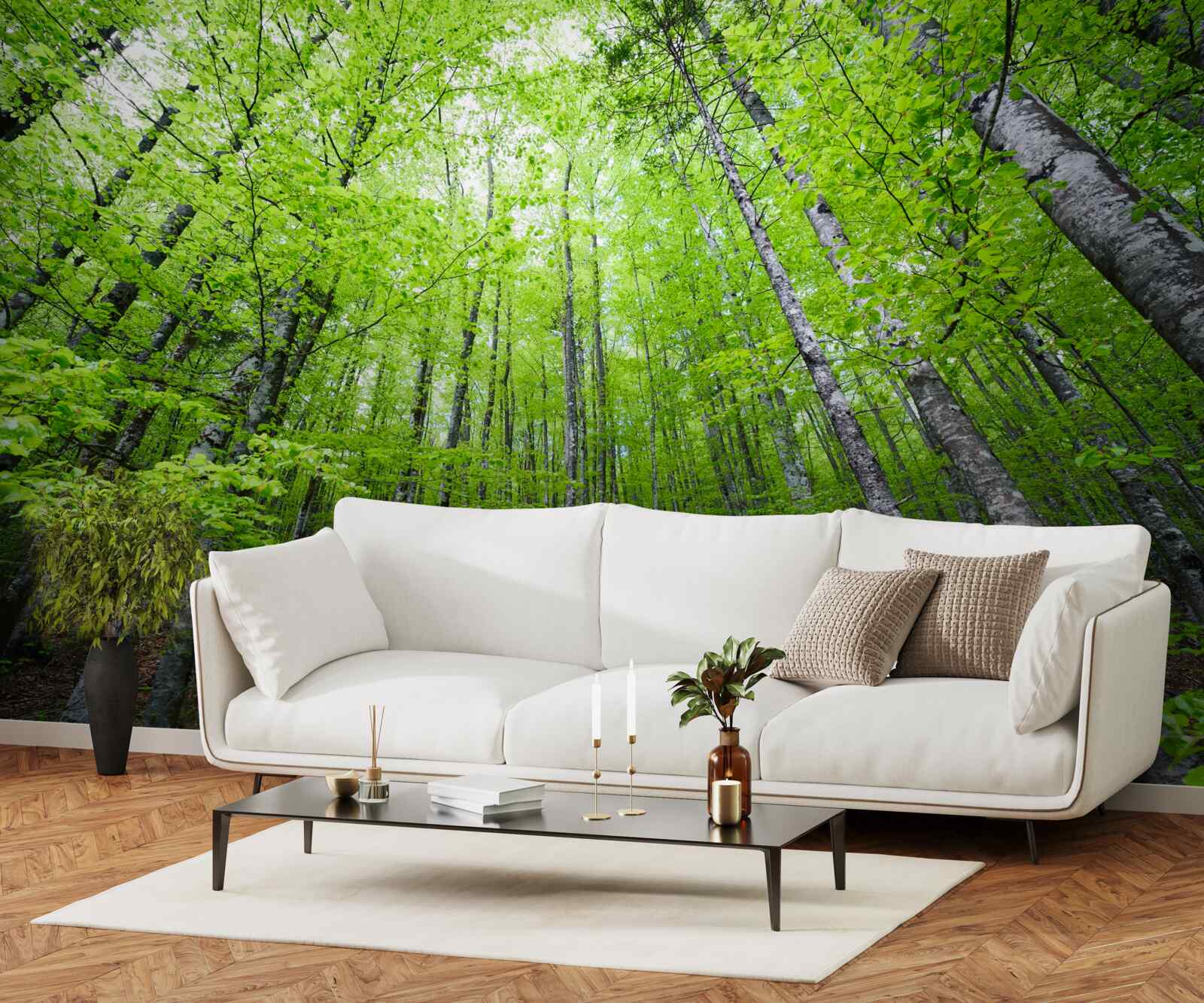 Fotobehang de groene kronen van de bomen in het bos schijnen helder