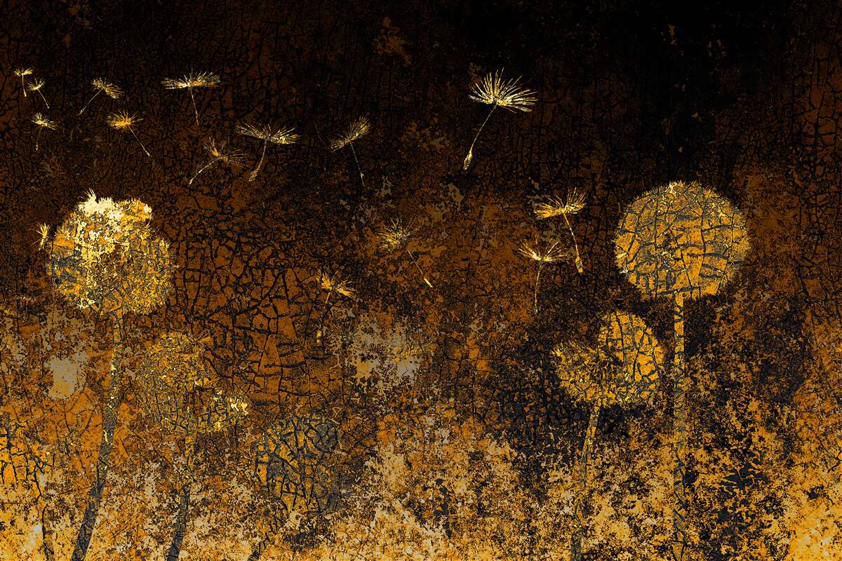 Fotobehang 's nachts wiegt de wind de paardenbloemen