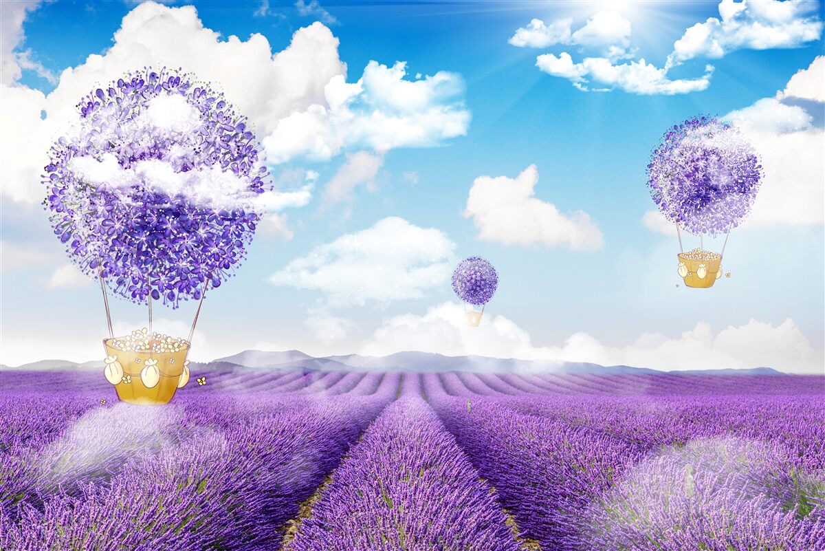 Fotobehang lavendelplantage en ballonnen