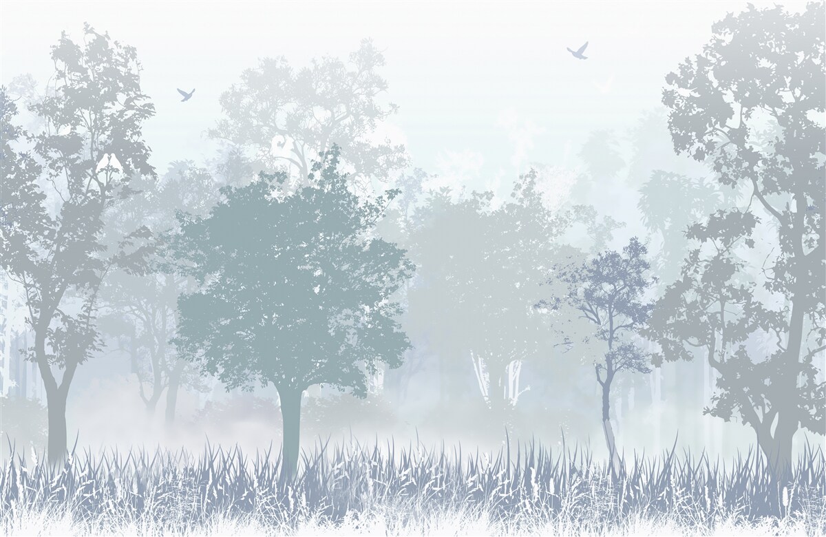 Fotobehang ochtendbos gehuld in mist