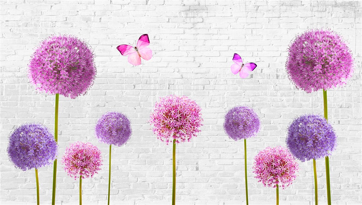 Fotobehang pluizige reeën in alle kleuren