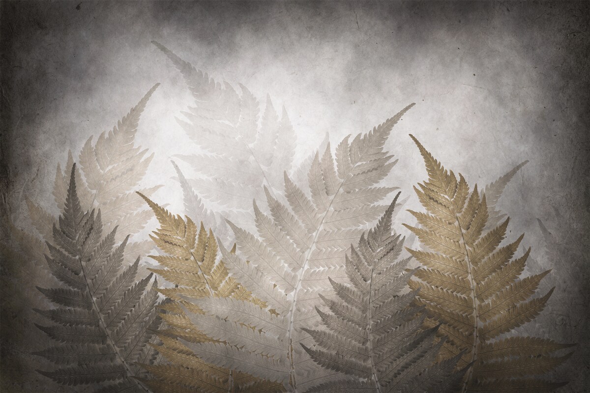 Fotobehang varenbladeren gehuld in mist in het bos