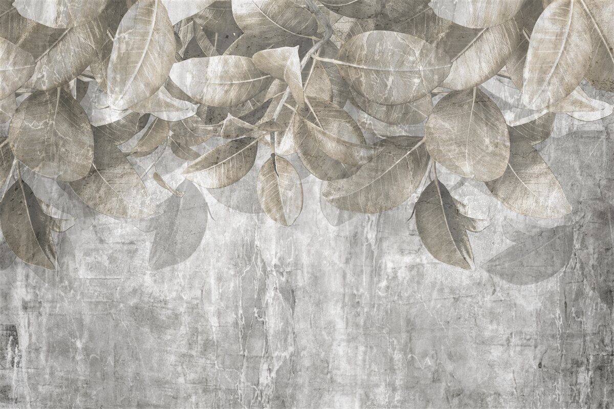 Fotobehang eucalyptusbladeren vallen op de grond