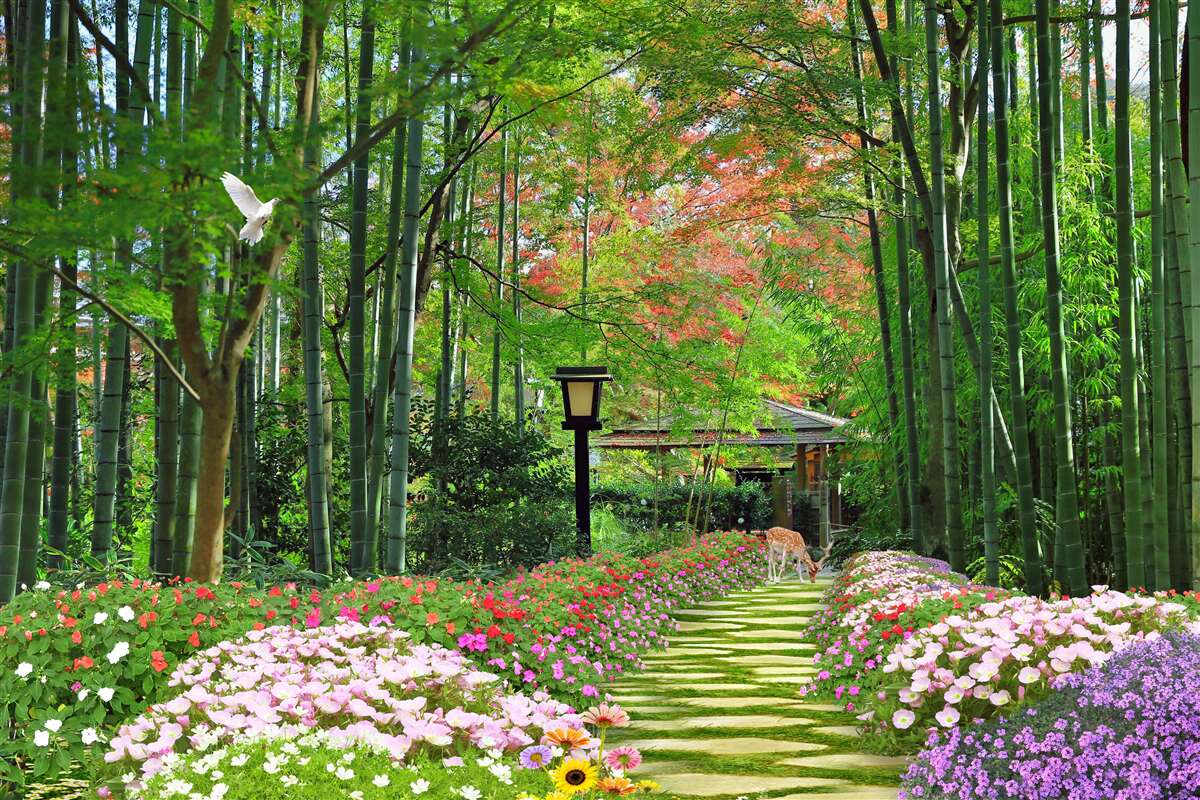 Fotobehang foto van een bos met groen en een pad