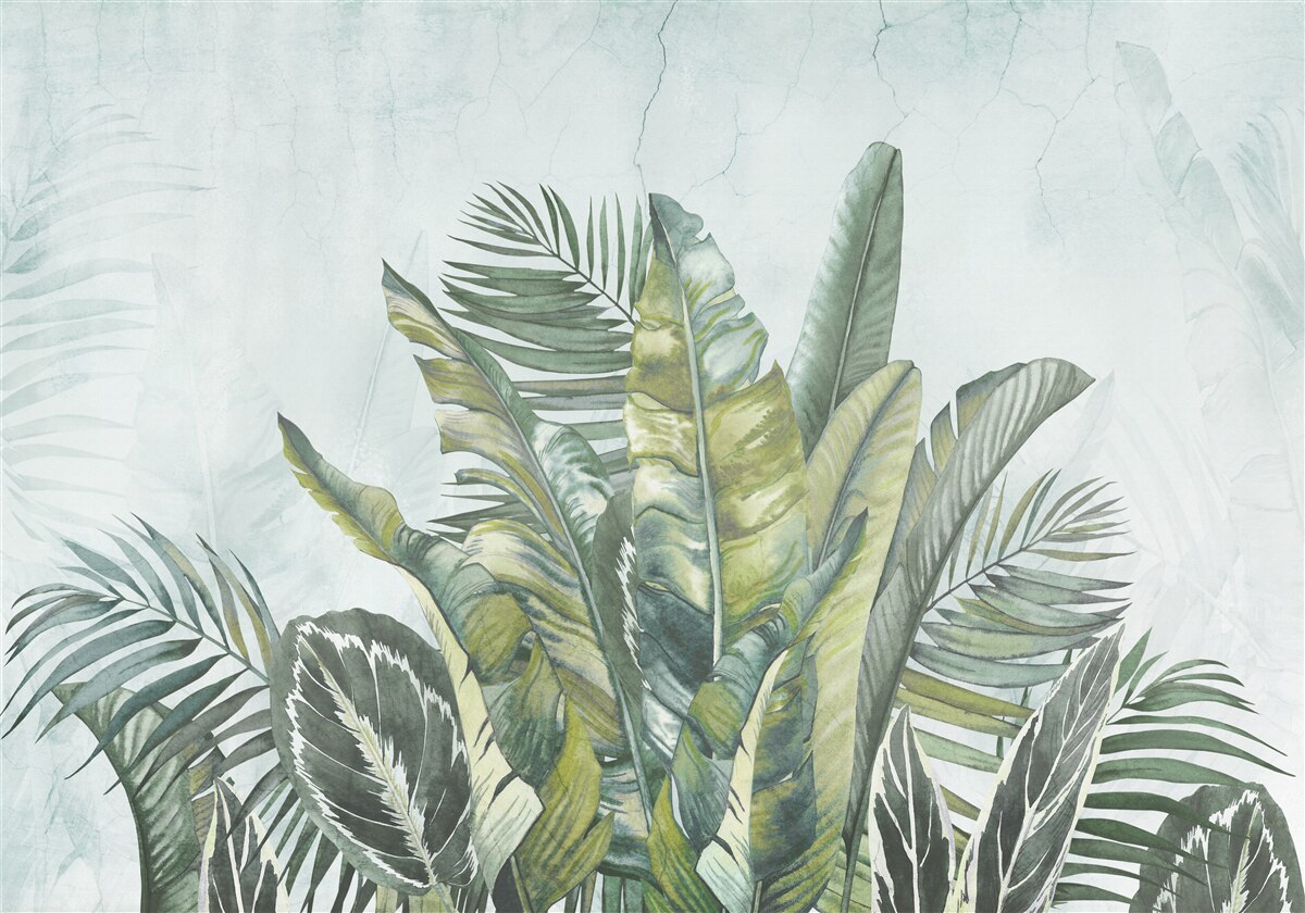 Fotobehang groen struikgewas van tropische vegetatie