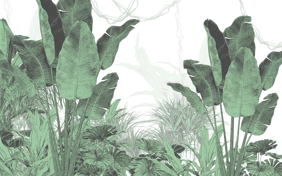 Fotobehang grote tropische bladeren van aanzienlijke grootte