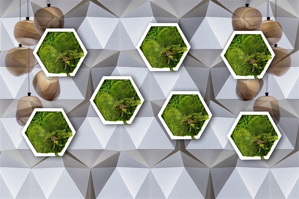 Fotobehang vijfhoekige planten